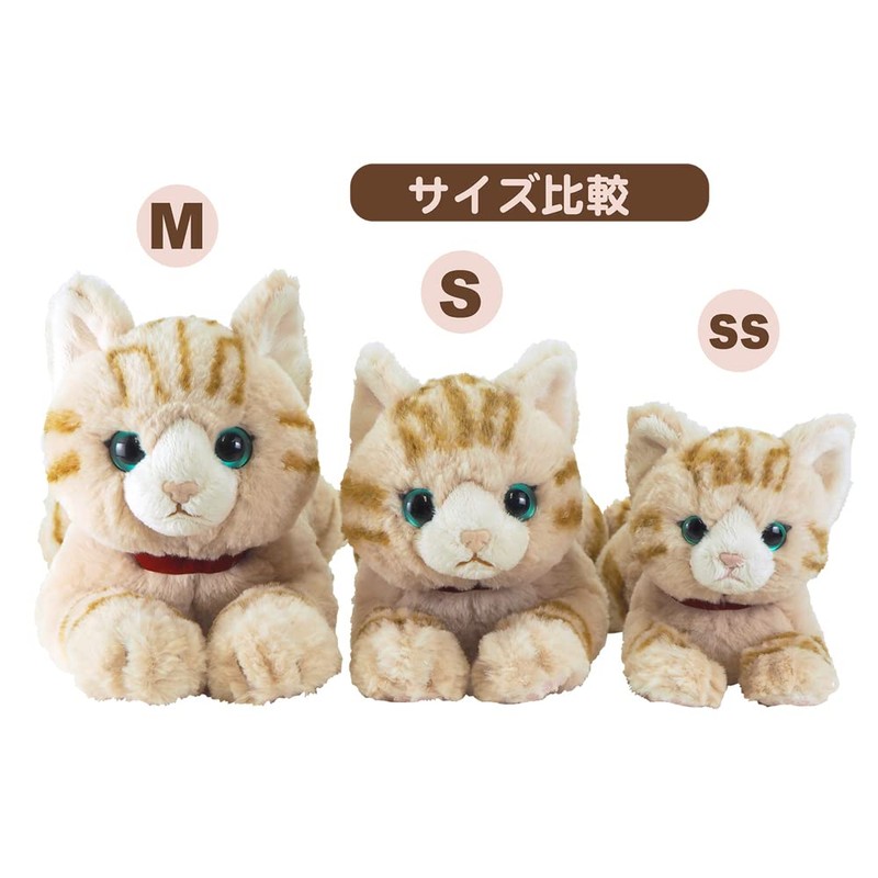 San Lemon Knee Cat SS BR P-8022