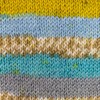 2PCs Superwash Sock Wool for Knitting, 4 Ply Sock Yarn
