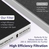 GoKBNY Aera-Max 200 2 Pack HEPA Replacement Filter, H13 True