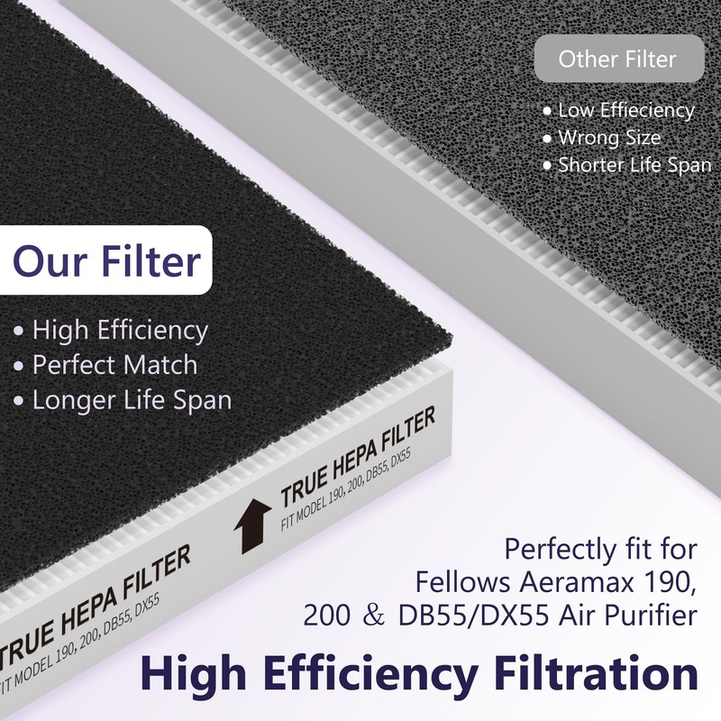 GoKBNY Aera-Max 200 2 Pack HEPA Replacement Filter, H13 True
