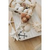 Rub on Transfers for Crafts and Furniture | 3 Design