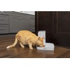 PetSafe 2 Meal Automatic Feeder, Built-in Timers, BPA Free Food