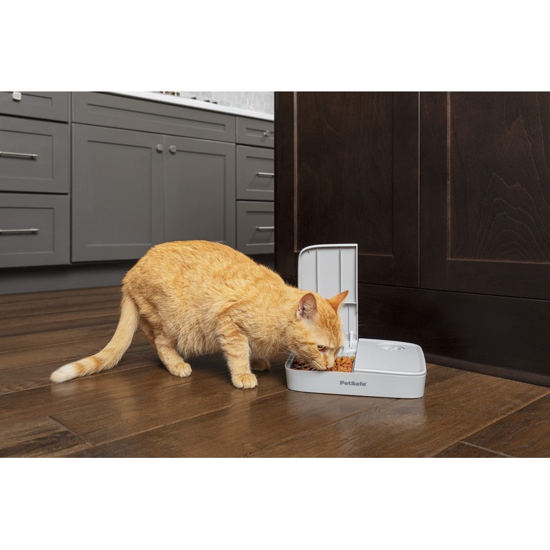 PetSafe 2 Meal Automatic Feeder, Built-in Timers, BPA Free Food