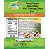 Semi-Sweet Chocolate Mini Baking Chips (8 oz, ZIN: 526489)