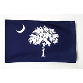 AZ FLAG - Flagge South Carolina - 150x90 cm - Bundesstaat South Carolina Fahne 90 x 150 Cm Feiner Polyester - Flaggen