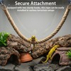 Tniytru Reptile Accessories, Climbing Vines for Reptiles with Hooks and