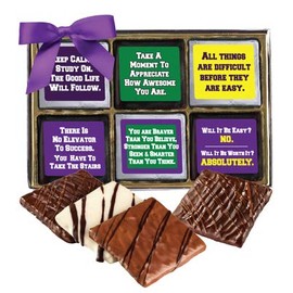 College Care Package - Chocolate Covered Graham Crackers - 12 piece