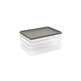 Harfield Tableware Meat & Cheese 4 Compartment Box with Lid Fridge Food Storage Deli Cold Cuts Container,AMLTBGRY