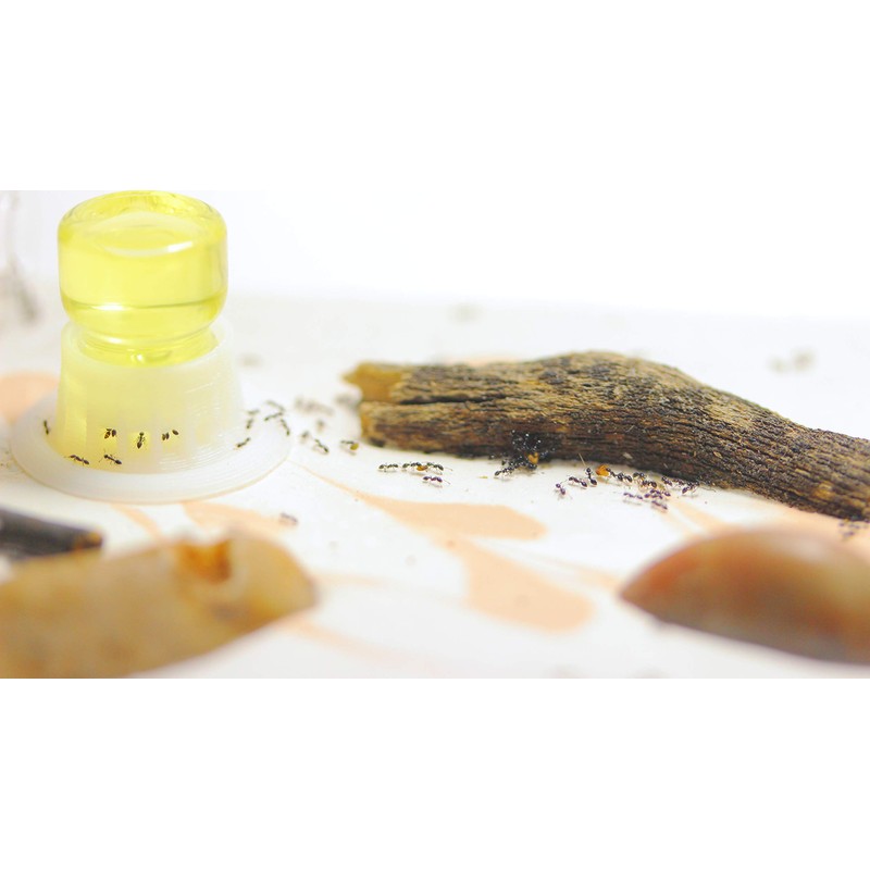 byFormica Liquid Feeder Mega - 10 mL, Set of 2