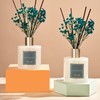 Cocorrína Premium Reed Diffuser Set with Preserved Baby's Breath &