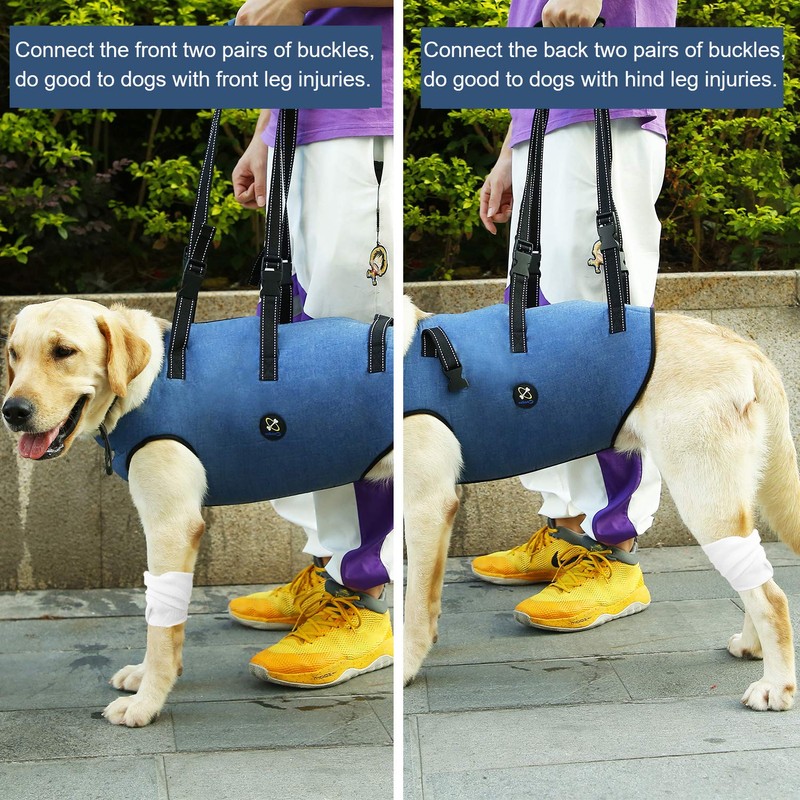 Coodeo Dog Lift Harness, Pet Support & Rehabilitation Sling Lift