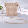 Straw Plait Small One Shoulder Slanted Bag Coin Purses Casual