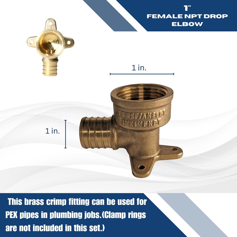 XFITTING 1 Inch Pex x 1 Inch Female NPT Drop