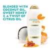 OGX Coconut Curls Shampoo, 25.4 fl oz