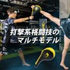 BODYMAKER(ボディメーカー) ハンドミット 格闘技 空手 ボクシング キックボクシング 総合格闘技 練習 道場 パンチ