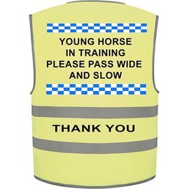 Ultra Hi Vis Viz High Visibility Reflective Vest Horse Training Equestrian (Yellow, M)