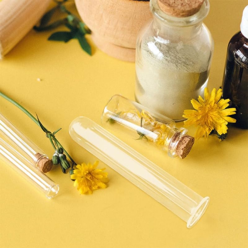 DECHOUS 6Pcs Clear Test Tubes for Plant 6 Inch Propagation