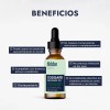 Conservador Natural Hebbe Geogard 221 Libre Parabenos Aceite 30ml