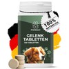 PFOTENGUT® Joint Tablets Dog [Improved Version 2024] - 100 Joint