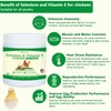 Selenium and Vitamin E Powder for Chickens, Selenium for Chickens,