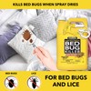 HARRIS Bed Bug Killer, Gallon Spray (2-Pack)