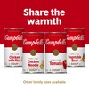 Campbell’s Condensed Homestyle Chicken Noodle Soup, 22.2 oz Family Size