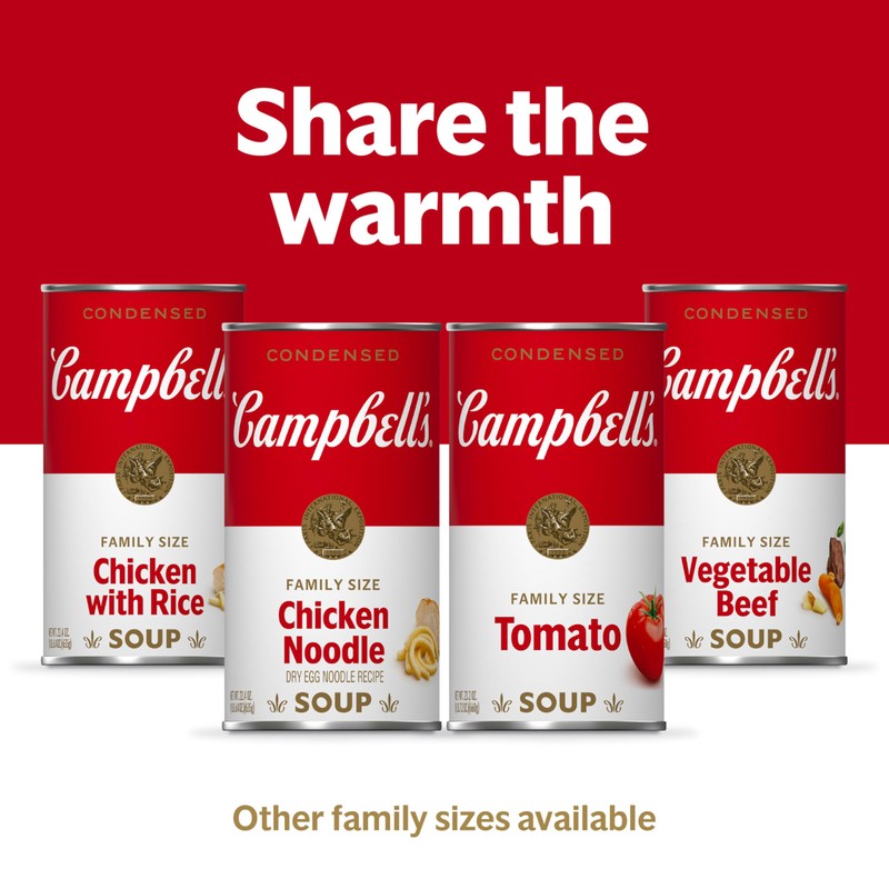 Campbell’s Condensed Homestyle Chicken Noodle Soup, 22.2 oz Family Size