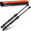 A-Premium Rear Tailgate Lift Supports Shock Struts Compatible with Nissan
