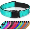 Collar Reflejante para Perro y Gato, Diseño Cómodo, Resistente. Ideal
