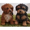 Pet Pals Black and Tan Cavapoo | Resin Home or