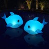 Goallim Solar Floating Pool Lights Dolphin, Glow in The Dark