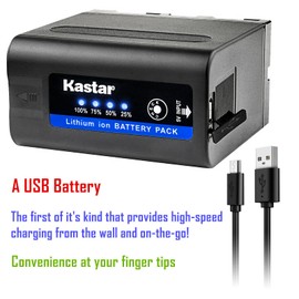 Kastar 4 Pack Battery and LCD Dual Fast Charger for Sony NP-F980 Pro NP-F970 DCR-TRV820 DCR-TRV9 DCR-TRV900 DCR-TV900 DCR-VX1000 DCR-VX2000 DCR-VX2000E DCR-VX2001 DCR-VX2100 DCR-VX2100E DCR-VX700