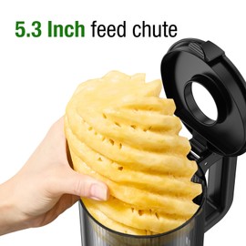 Juicer Machines, TUUMIIST Cold Press Juicer with 5.3" Extra Large Feed Chute Fit Whole Fruits & Vegetables Easy to Clean, High Juice Yield, BPA Free (Gun Grey)