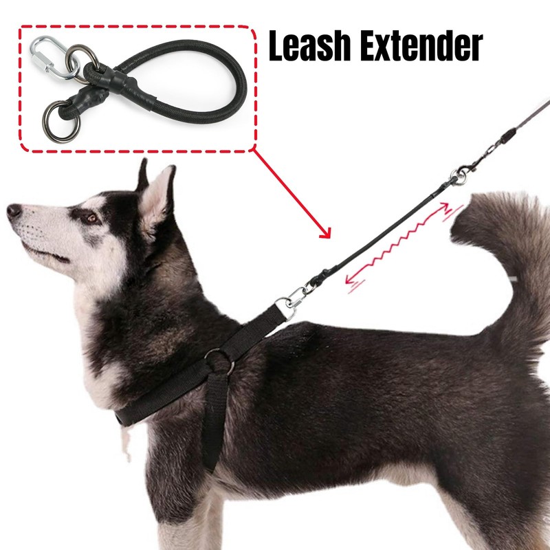 JLEivvi 2 PCS Dog Leash Extension Chew Proof Heavy Duty