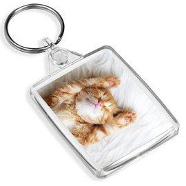 Sleeping Ginger Kitten Keyring Cat Cats Animal Cute Baby Fun Keyring Gift #13113
