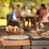 Pack of 100 Super Rigid Paper Plates, 100% Biodegradable and