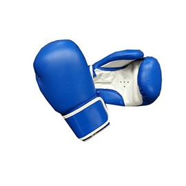 Woldorf USA Pro Aerobic Training Gloves Blue in Leather 12oz Sparring, Grappling, Kickboxing, Fighting Gloves, Muay Thai Training Gloves, Heavy Bag Speed Punching Gloves.