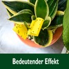 Garsum 42 Traps Sticky Houseplant Traps Gnat Yellow Insect Trap