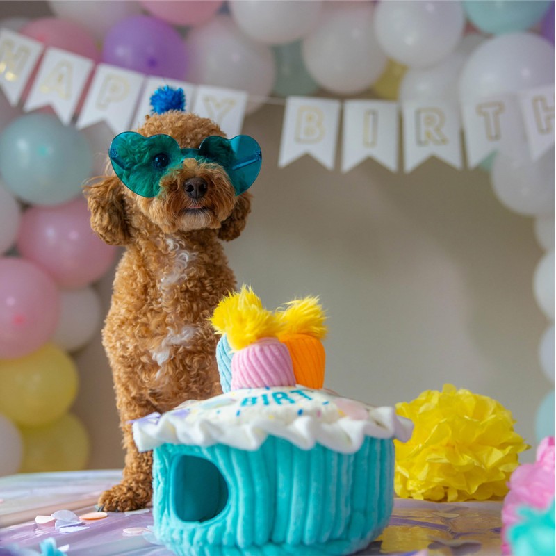 Outward Hound Hide A Birthday Cake, Plush Puzzle Birthday Themed