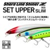 DAIWA Shoreline Shiner Z Set Upper Slim 95S 3D Inako