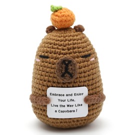 Emotional Support Capybara, Novelty Pocket Hug Gift Small Knitted Positive Capybara Ornament Cute Positive Affirmation Gifts for Women, Mother, Father, Christmas