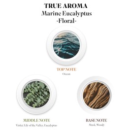 TRUE AROMA Marine Eucalyptus Essential Oil | Eucalyptus Essential Oils for Aroma Diffusers | Natural Eucalyptus Essential Oil for Diffuser | Aromatherapy Essential Oils | Essential Oil Blends - 60 ML