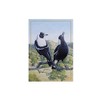 Maxwell & Williams Birds of Australia KC 10yr Anniversary Tea