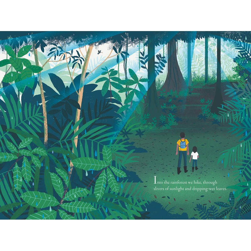 Over and Under the Rainforest