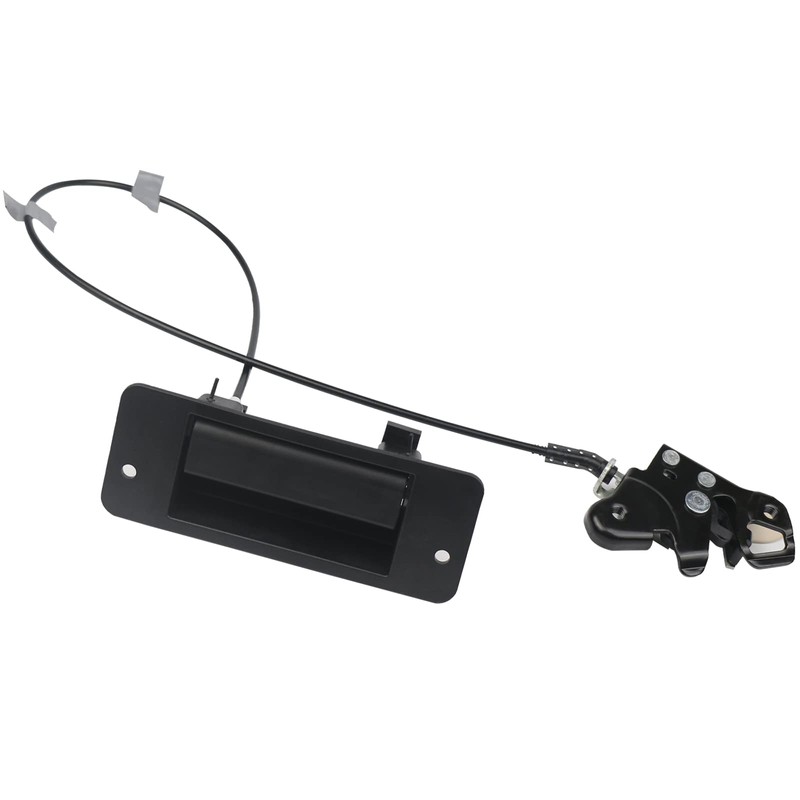TQPONLY Lower Door Latch with Handle Assembly,Compatible with 2010-2014 Ford