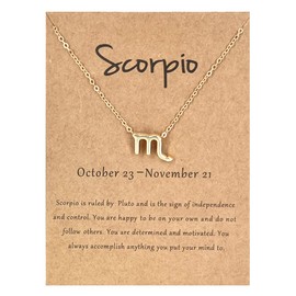 Scorpio Constellation Necklace for Women Girls Scorpio Jewelry Gifts Scorpio Zodiac Sign Necklaces for Women Scorpio Astrology Necklace Scorpio Pendant Necklace Gift