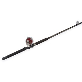 Penn Special Senator 91332 Fishing Rod and Reel Combo, 6.5 Feet, Black/Smoke/Red