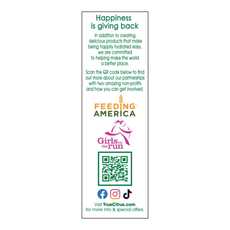 TRUE LEMON Original Lemonade Drink Mix| Made from Real Lemon