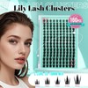 Eyelash Extensions, 160 Pieces, Fairy Cluster Lashes with Manga Lash