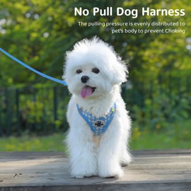 Poseca Dog Harness and Leash Set,Soft Mesh Breathable Dog Harness for Walking,Reflective Adjustable Puppy Harness,No Pull Pet Harness and Leash Set for Small Dogs Cats